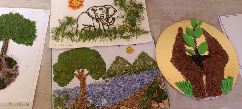 പ്രമാണം:23028 lbsm environment day 25-1.jpg