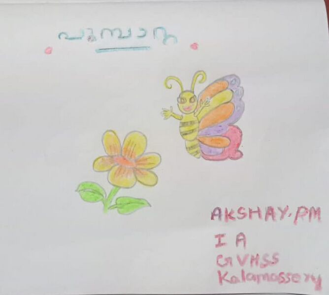 പ്രമാണം:25084-EKM-KUNJ-AKSHAY P M.jpeg