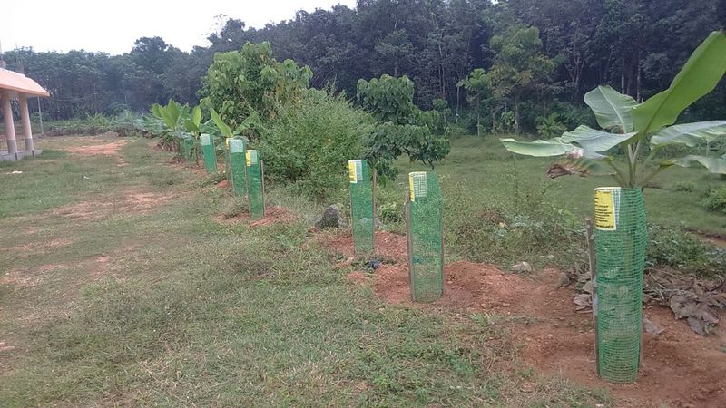 പ്രമാണം:27501 3.jpg