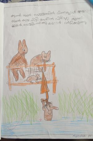 34237-ALP-Kunj-Ayesha N Std I.jpg