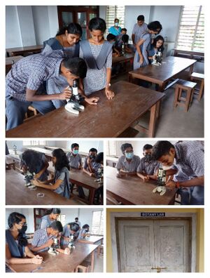 37001 hssbotanylab.jpeg