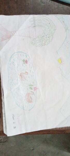 പ്രമാണം:38703-PTA-KUJU-SREERAG R.jpeg