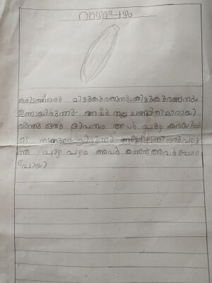 47655-KKD-KUNJ-NIGNA N A.jpg