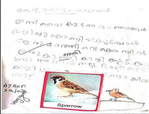 48405-MLP-KUNJ-AYAN SAJOOB.jpg