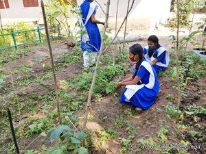 Adukkalathottam 35052 22 (5).jpg