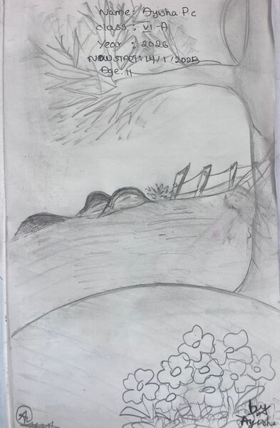 പ്രമാണം:BS21 KNR 13389 4.jpg