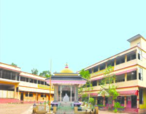 PMUP School Cover copy 2.jpg