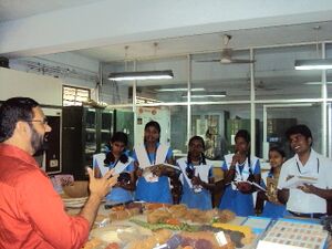 Scproject 12 35052 (2).jpg