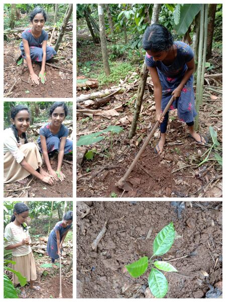 പ്രമാണം:15008 eco2.jpeg