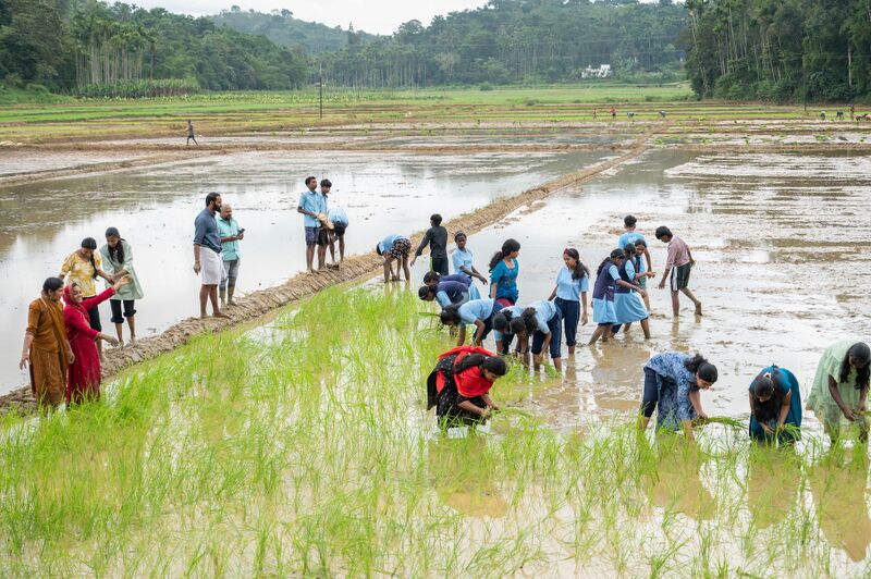 പ്രമാണം:15019 kambalanatti 1.JPG