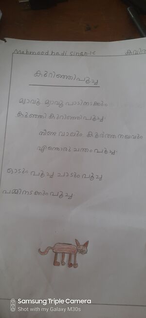 18316-MLP-KUNJ-.MAHMOOD HADI SINAN.jpg