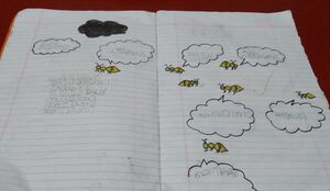 19555-MLP-KUNJ- (9).jpeg