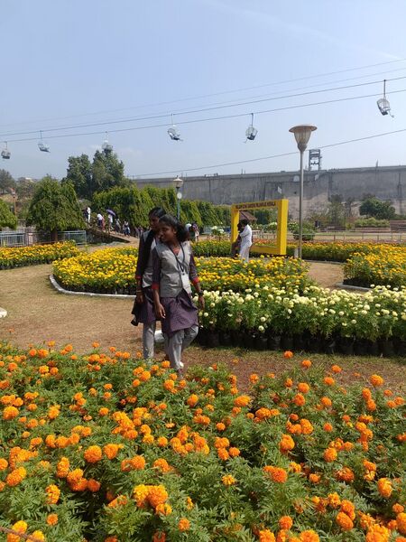 പ്രമാണം:21060 flower show1.jpg