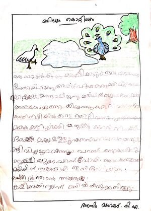 21741-PKD-KUNJ-AZIM MUHAMMED.jpeg