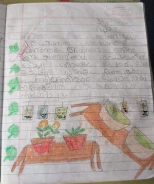 23412-TSR-KUNJ-FATHIMATH FARHANA.jpeg