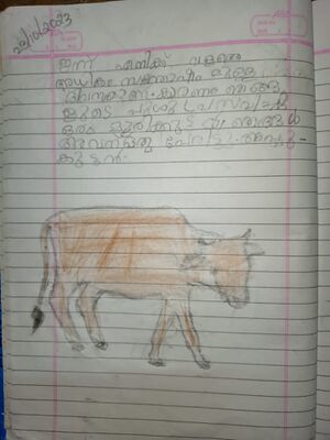 24630-TSR-KUNJU-SANDHWANA VM.jpg