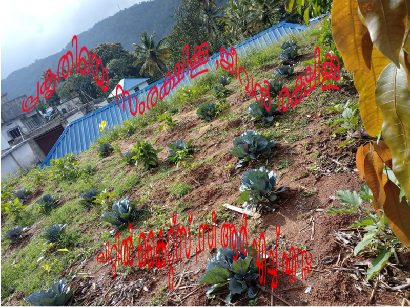 പ്രമാണം:30014 21crhs3.png