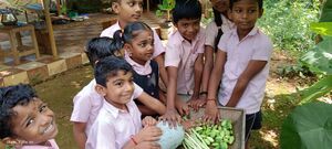 30230-A H arvesting Day.jpeg