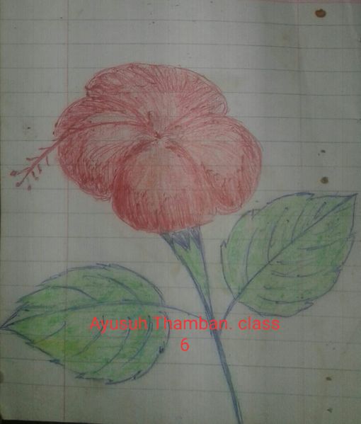 പ്രമാണം:38272 06.jpg