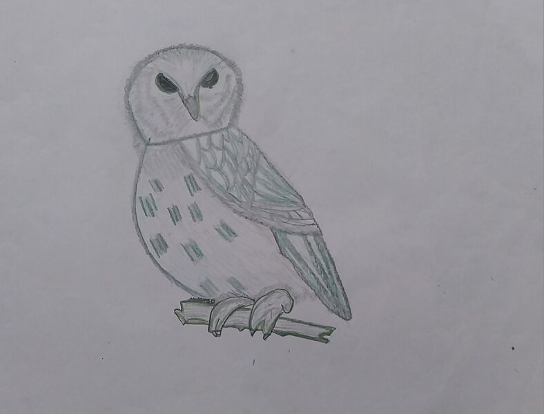 പ്രമാണം:44050 23 12 23 11.jpg