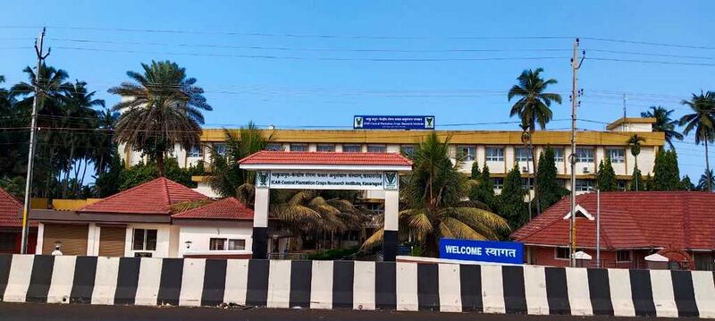 പ്രമാണം:11028 CPCRI.jpg