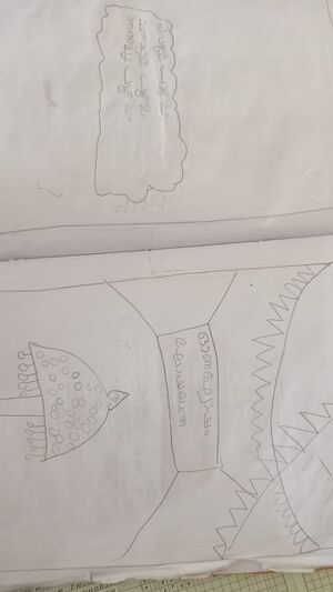 15509-WYD-KUNJ-AYISHA AMAAL 1 C.jpeg