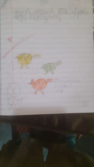 19512-MLP-KUNJ-MUHAMMED NIHAL.jpeg