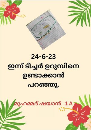 19643-MLP-KUNJ-MUHAMMED SHAYAN.jpeg