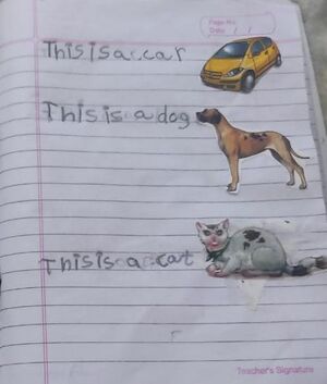 19808-MLP-KUNJ-FATHIMA RAFA1.jpeg