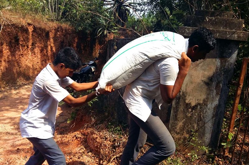 പ്രമാണം:20161208 120618estnzfdh.jpg