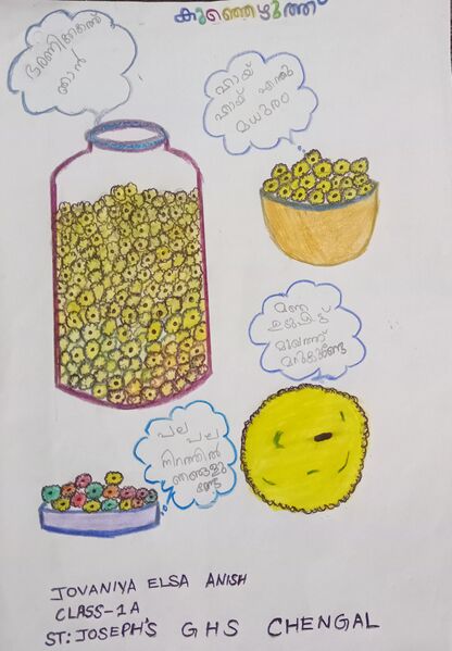 പ്രമാണം:25036-EKM-KUNJ-JOVANIYA ELSA ANISH.jpg