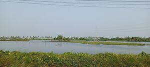 26003 Lake.jpg