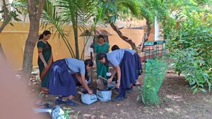 26084 VEGETABLE PLANTING 2025-26.jpeg