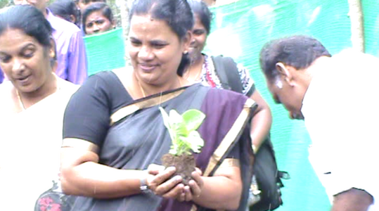 പച്ചക്കറിത്തോട്ടം ഉദ്ഘാടനം