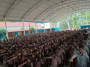 44055 assembly.resized.jpg