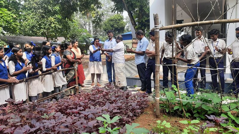 പ്രമാണം:44354 VEG 2.jpg