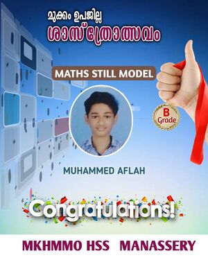 47089 2023mela10.jpeg