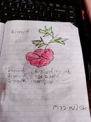 47541-KKD-KUNJ-NAZIYA FATHIMA S M.jpeg