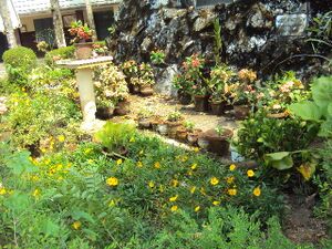 Schoolgarden 35052 2.jpg