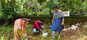 12024 veggarden1.jpeg