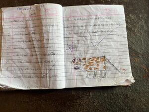 19334-MLP-KUNJ-AHMED FADI.jpg