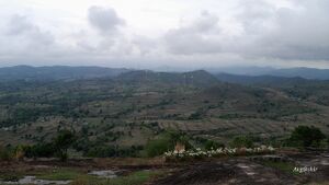 20240519 104804.resized.jpg