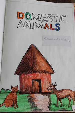 28317-EKM-KUNJ-SREENANDHA MANOJ.jpeg