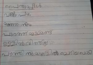 28524-EKM-KUNJ-DEKSHINA DINOOP.jpeg