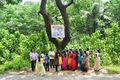 15:33, 21 ഡിസംബർ 2016-ലെ പതിപ്പിന്റെ ലഘുചിത്രം