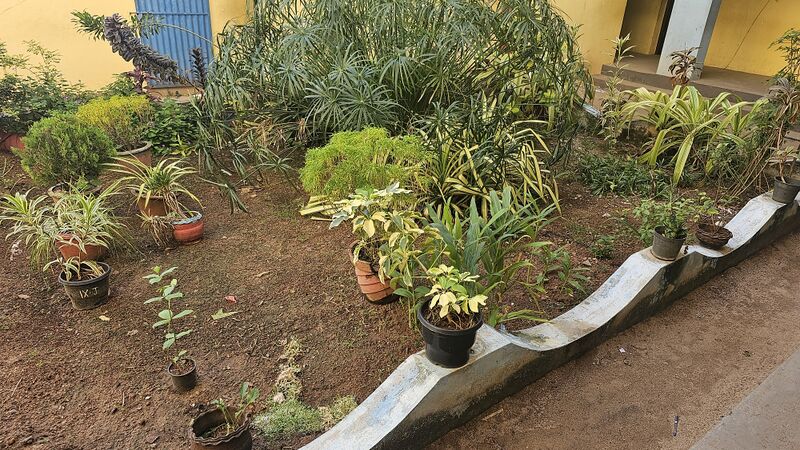 പ്രമാണം:41068 garden.jpg