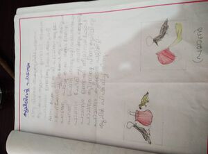 41616 - klm (1).jpeg