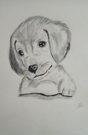 44055 1harikrishnan11.jpeg