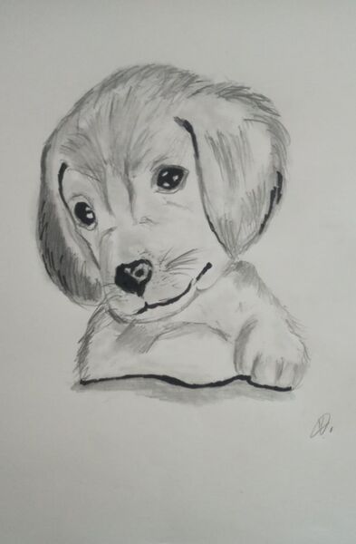 പ്രമാണം:44055 1harikrishnan11.jpeg