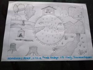 44544 Hevanna Prince 2C.jpg